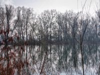 Aueseeufer  Pentax K-1, HD PENTAX - D FA* 1.4/50 SDM AW  - 06.03.2024 -