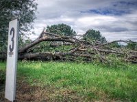 Ruheplatz auf der Weide  Pentax K-1, HD Pentax D -FA  2.8/ 24-70 ED SDM WR  - 08.07.2022 -