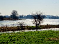 Die Gans am Ufer  Pentax K-1, HD PENTAX - D FA 2.8/24-70 ED SDM WR   - 08.03.2024 -