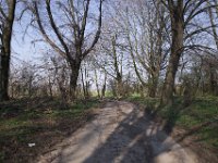 Weg zum Rhein  Pentax K-1, HD PENTAX - D FA 2.8/24-70 ED SDM WR   - 08.03.2024 -