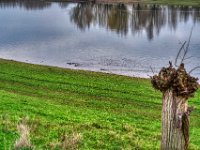 Nutria Familie