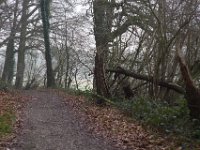 Rundfahrt am 09.Februar 2025