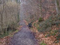 Halt in der Hees  Pentax K1, HD PENTAX - HD PENTAX - D FA 2.8/24-70 ED SDM WR  - 09.02.2025 -