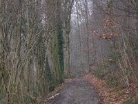 Waldweg  Pentax K1, HD PENTAX - HD PENTAX - D FA 2.8/24-70 ED SDM WR  - 09.02.2025 -