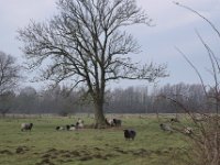 Sammelpunkt  Pentax K1, HD PENTAX - HD PENTAX - D FA 2.8/24-70 ED SDM WR  - 09.02.2025 -