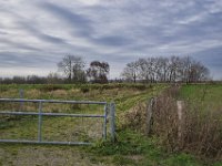 Landschaft am Rheindeich  Pentax K-1, HD Pentax -D FA 2.8/24-70 ED SDM WR   - 10.12.2021 -