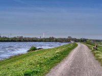 Rheindeichweg  Pentax K-1, SMC Pentax-FA 1.8/77 Limited  - 11.04.2022 -