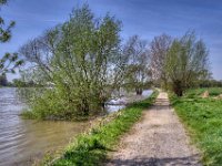 Ruhe am Fluss  Pentax K-1, SMC Pentax-FA 1.9/31 Limited  - 11.04.2022 -