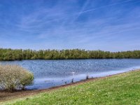 Der kleine See hinterm Deich  Pentax K-1, SMC Pentax-FA 1.9/31 Limited  - 11.04.2022 -