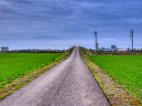 Zurück am Hügel im Feld  Pentax K-1, SMC Pentax-FA 1.9/31 Limited  - 11.04.2022 -