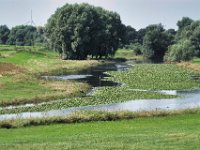 Landschaft am Deich