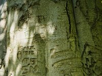 Diese Zeichen werden auch vergehen  Pentax K-1, SMC PENTAX-FA 1.8/31 Limited  - 12.05.2025 -