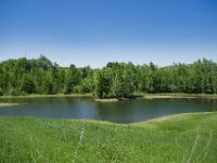 Lippe Naturschutz  Pentax K-1, SMC PENTAX-FA 1.8/31 Limited  - 12.05.2025 -