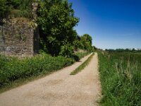 Weg am alten Viadukt  Pentax K-1, SMC PENTAX-FA 1.8/31 Limited  - 12.05.2025 -
