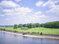 Flussufer  Pentax K-1, SMC PENTAX -FA 1.9/43 Limited   - 14.05.2022 - : Landschaft, Fluss, Rhein, Flussufer, Bäume