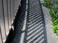 Rundgang  Pentax K-1, SMC PENTAX-FA 1.9/43 Limited  - 15.08.2024 -