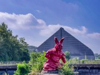 Donnie Darko I  Pentax K-1, SMC PENTAX-FA 1.9/43 Limited  - 15.08.2024 -