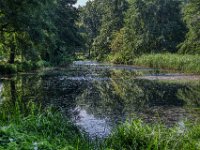 Teich im Schwelgernpark Duisburg Marxloh