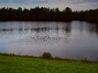 Enten auf dem kleinen See  Pentax K1, SMC PENTAX-FA 1.9/43 Limited  - 16.10.2024 -