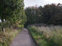 Weg zum Rheinufer  Pentax K1, SMC PENTAX-FA 1.9/43 Limited  - 16.10.2024 -