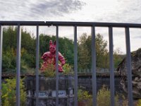 Donnie Darko hinterm Gitter  Pentax K1, SMC PENTAX-FA 1.9/43 Limited  - 16.10.2024 -