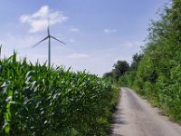 Maisfeld und Windkraft