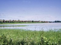 Altes Eisenbahnviadukt und steigende Wasser