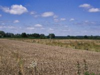 Figur im Feld