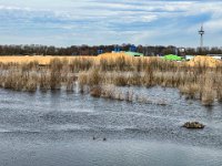 Hochwasser im Lippemündung Naturschutz