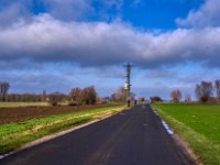 Straße auf der Bislicher Insel