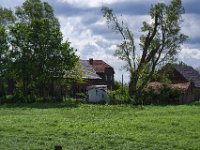 Noch steht der Baum