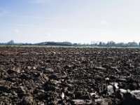 Der Hügel im Feld  Pentax K-1, HD PENTAX - D FA 2.8/24-70 ED SDM WR   - 25.03.2024 -