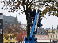 Bauminspektion  Pentax K-1,  HD PENTAX - D FA 2.8/24-70 ED SDM WR  - 29.10.2024 -