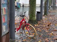 Rot  Pentax K-1,  HD PENTAX - D FA 2.8/24-70 ED SDM WR  - 29.10.2024 -