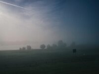 Rheinwiesen  Pentax K-1, SMC PENTAX-FA 1.8/31 AL Limited  - 29.09.2025 -