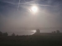 Die Sonne kämpft im Nebel  Pentax K-1, SMC PENTAX-FA 1.8/31 AL Limited  - 29.09.2025 -