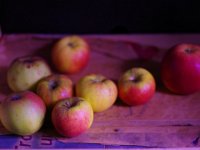 apple  Pentax K1, HD Pentax DFA* 1.4/50 SDM AW   - 27.11.2023 -