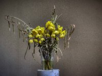 verwelken  Pentax K1, HD PENTAX - HD PENTAX - D FA* 2.8/70-200 ED DC AW  - 09.07.2024 -