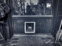 Wintertag an der Katzenklappe  PENTAX K-3 Mark III Monochrome, HD PENTAX - DA* 2.8/ 11-18 ED DC AW  - 07.01.2025 -