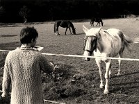 White horse  Hexar 2.0/35, Delta 100 prof Oktober 2000