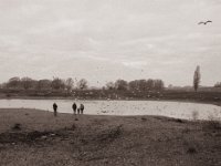 Möwen gucken  Pentax 645N, SMC FA 2.8/45, Bergger Pancro400