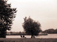 Schiffe gucken am Rhein  Pentax 67II, SMC 2.4/105, Adox CHS 100/64