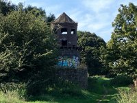 Der Mäuseturm mit Graffiti  Der Mäuseturm in den Rheinwiesen