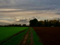 Feldweg  iPhone 8 plus  - 22.Oktober 2020  -