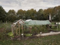 Naturgarten an der Xantener Südsee  iPhone 8 plus  - 22.Oktober 2020  -