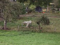 Hofstelle mit  Spielgerüsten  iPhone 8 plus  - 22.Oktober 2020  -