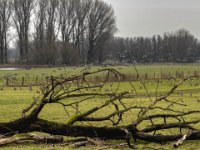 Februartag 09.02.2024