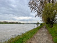 Der Rhein steigt erneut aus seinem Bett  iPhone 13 Pro Max  - 05.04.2024 -