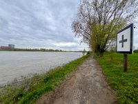 Am Rhein entlang  iPhone 13 Pro Max  - 05.04.2024 -