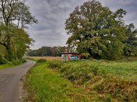 Herbststimmung  iPhone 13 Pro Max  - 31.10.2024 -